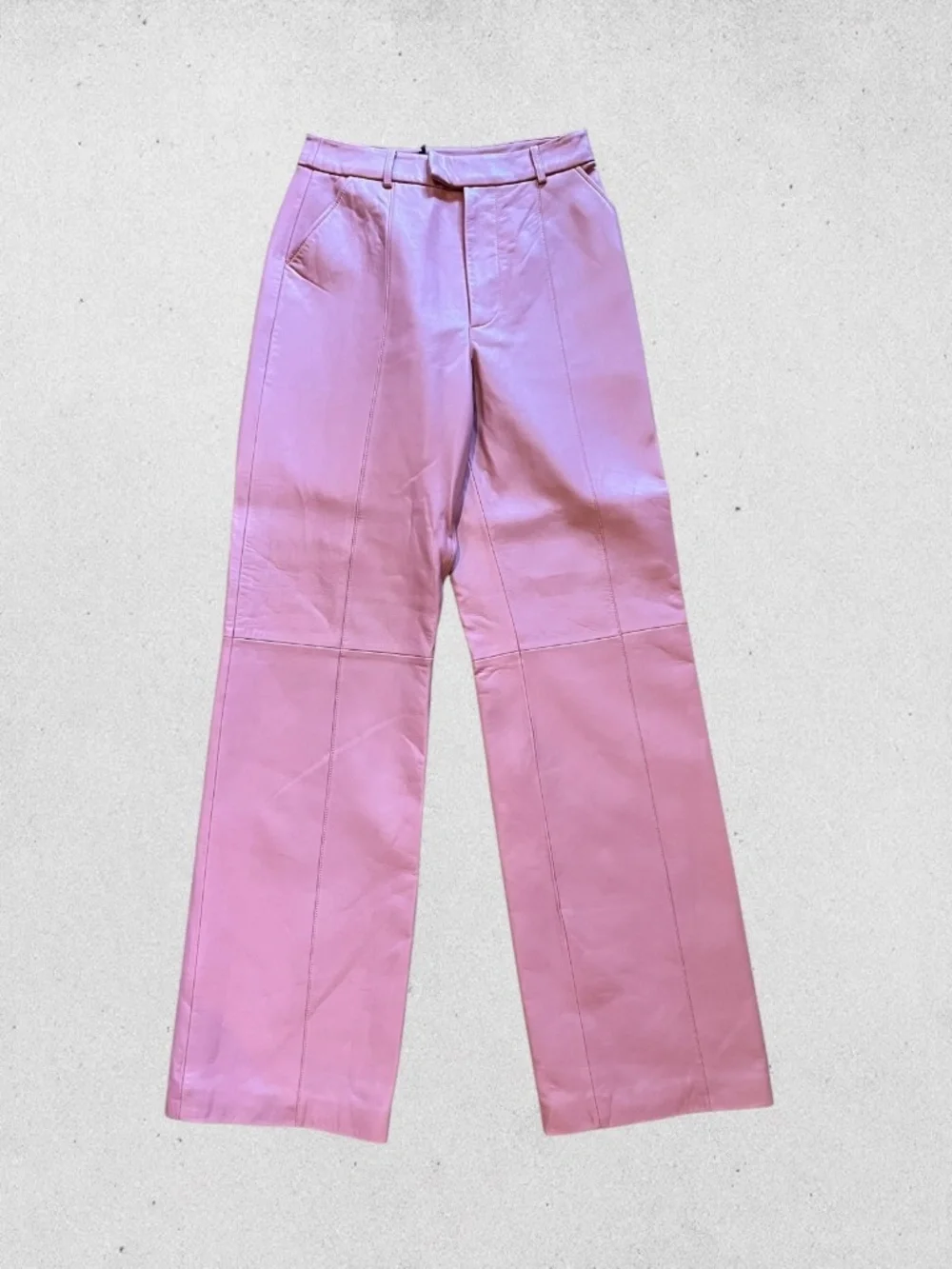 Ena Pelly Danielle Mauve Leather Pants Wide Leg High Rise NWT Size 4 Minimalist